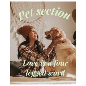 Pet toys